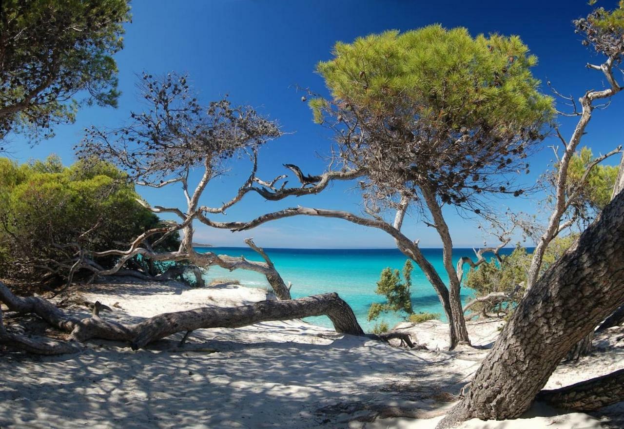 T2 pour 4 pers, charmante résidence avec piscine Oletta  Exterior foto